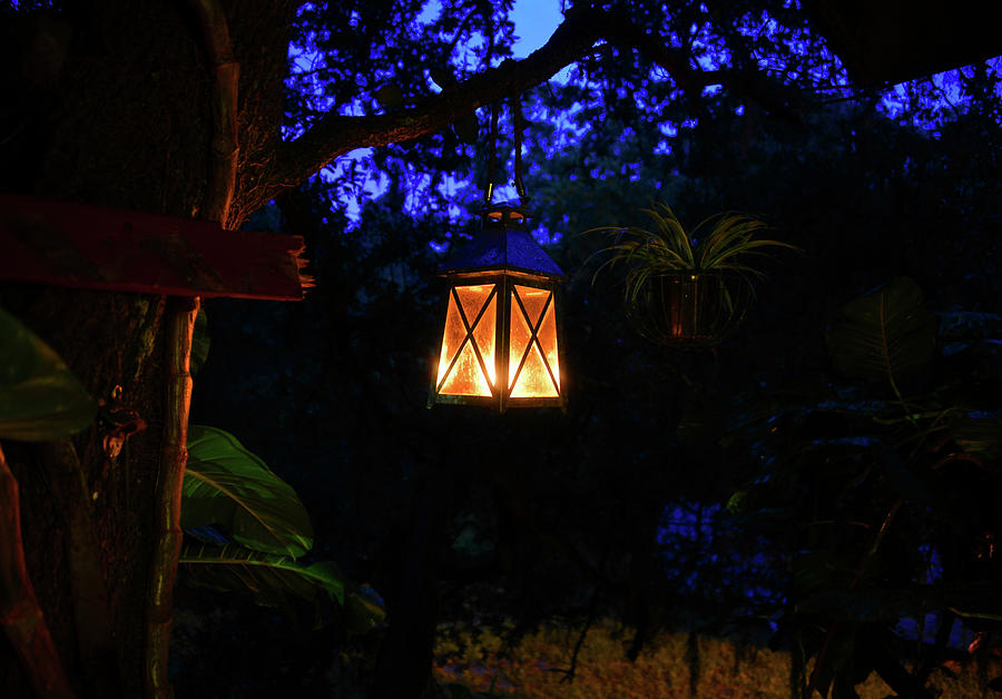 Night lantern Photograph by David Lee Thompson
