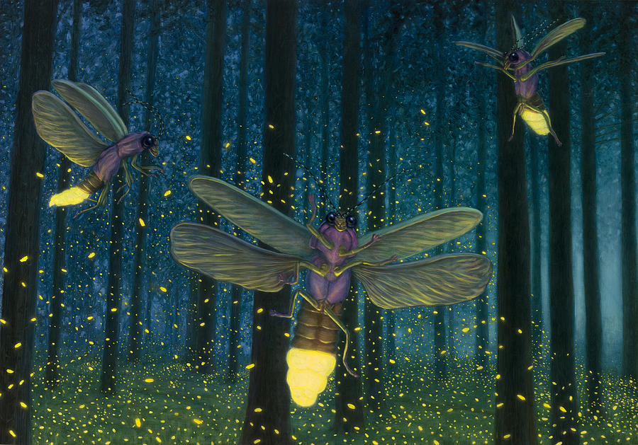 Insects Painting - Night Light Flight by James W Johnson
