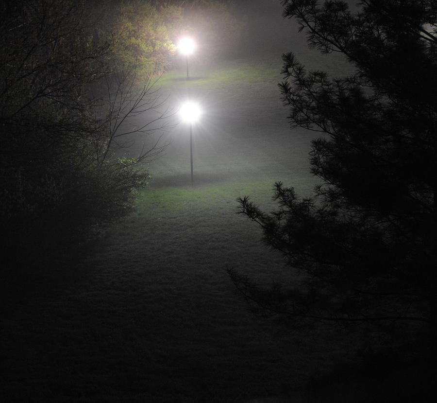 Tree Photograph - Night Lights by Brandon Wernke
