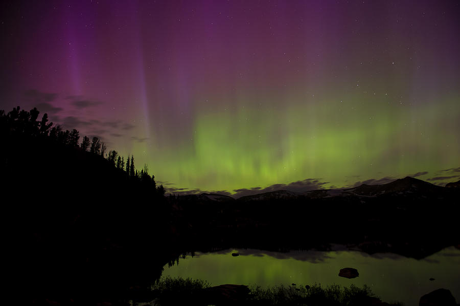 Aurora Borealis Photograph - Night Lights in the Beartooths by Amy Gerber