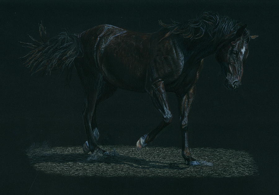 Horse Drawing - Night Mare by Laura Klassen