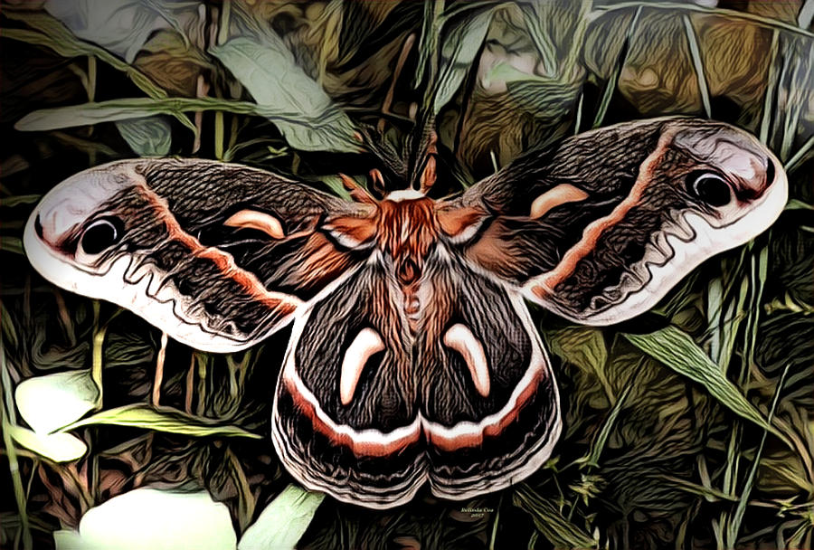 Night Moth Digital Art by Artful Oasis
