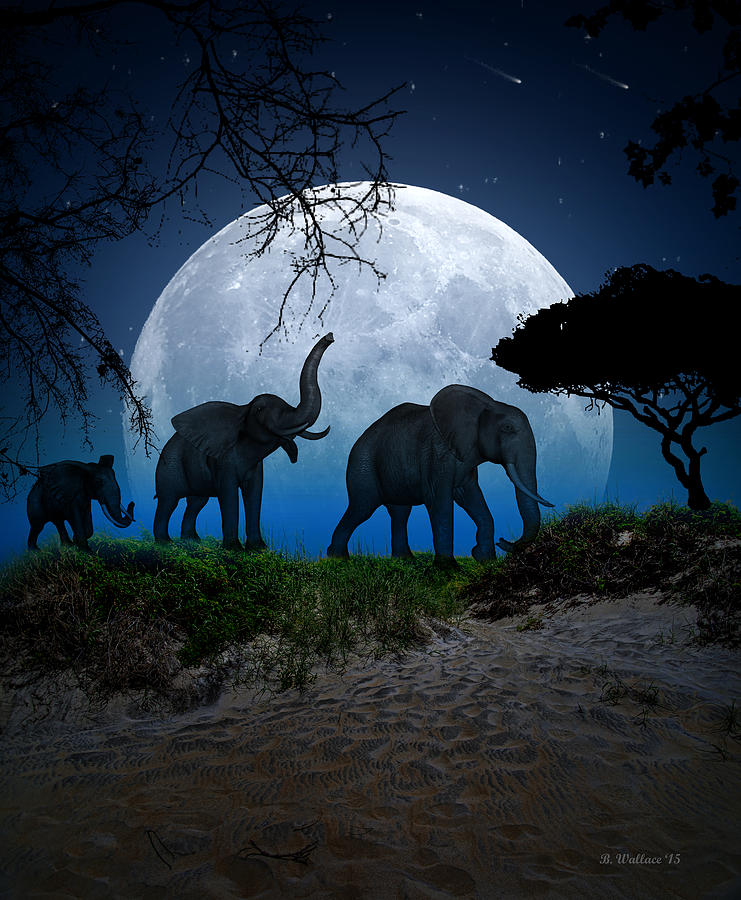 Night Of The Elephants Digital Art by Brian Wallace