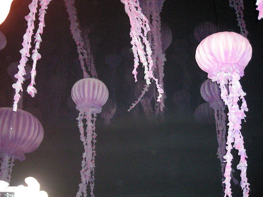 Cool Photograph - Night of the Jellies by B A Bunting 
