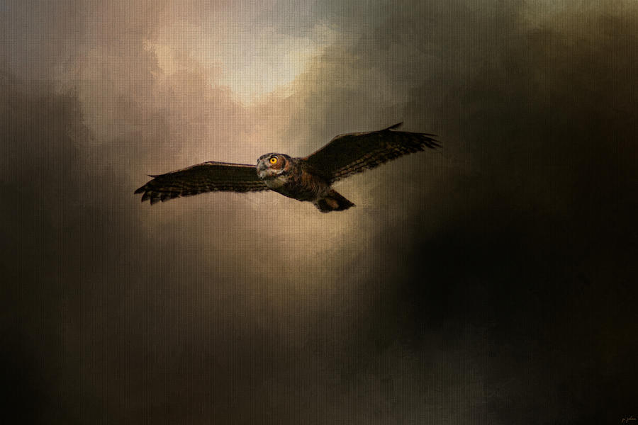 Night of the Owl 2 Photograph by Jai Johnson