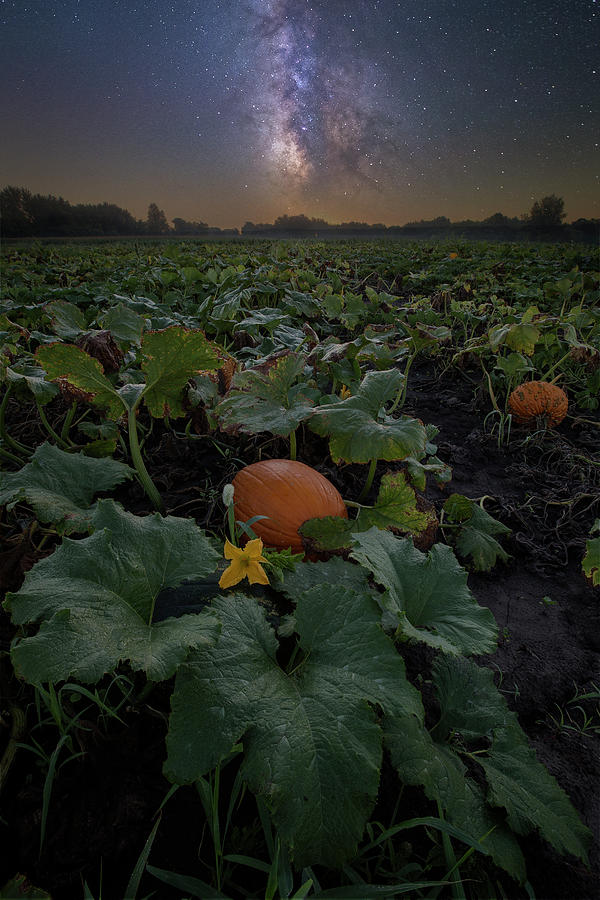 Pumpkin Photograph - Night of the Pumpkin by Aaron J Groen