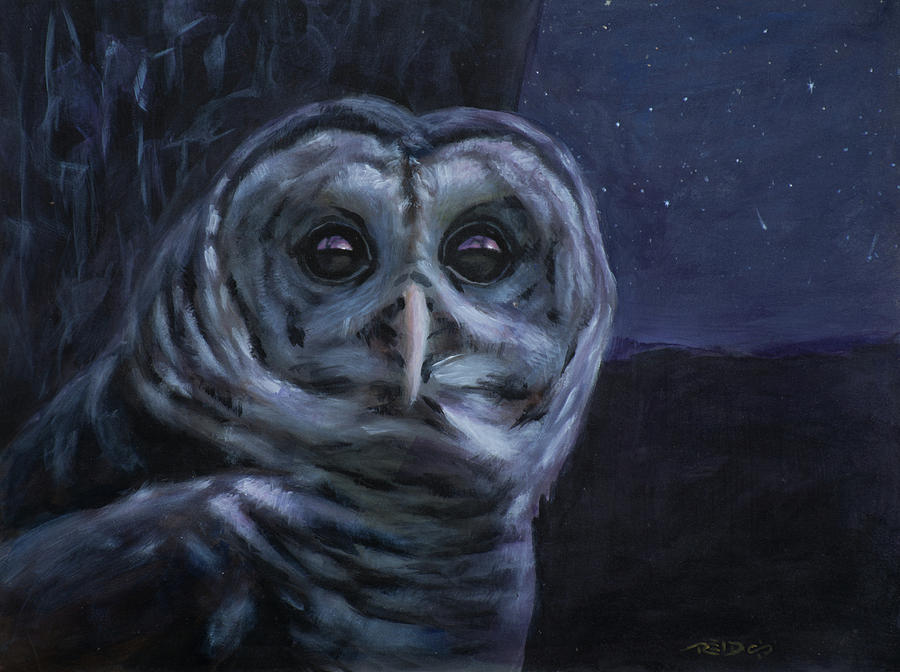 Night Owl Painting by Christopher Reid