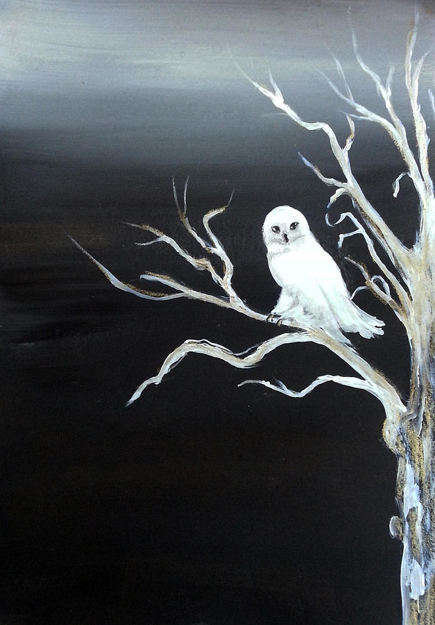 Night Owl Painting by Florentina Maria Popescu