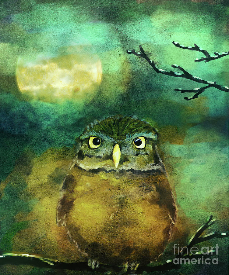 Night Owl Digital Art