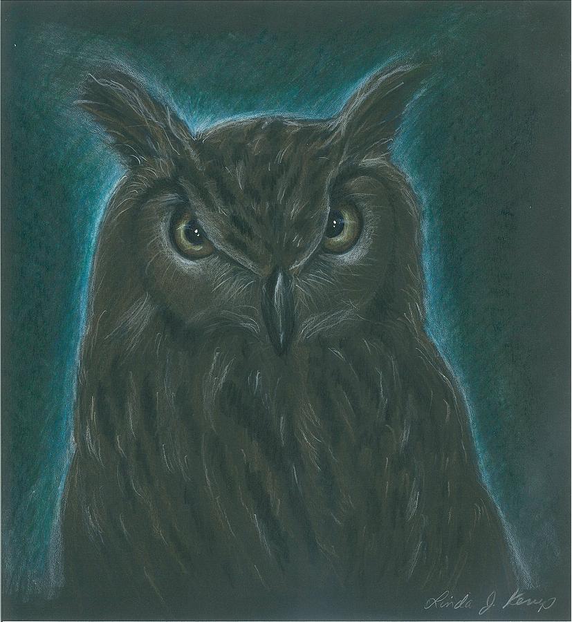 Night Owl Drawing by Linda Nielsen
