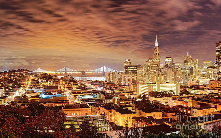 Night Panorama of San Francisco and Oak Area Bridge from Ina Coolbrith Park - California Photograph by Silvio Ligutti