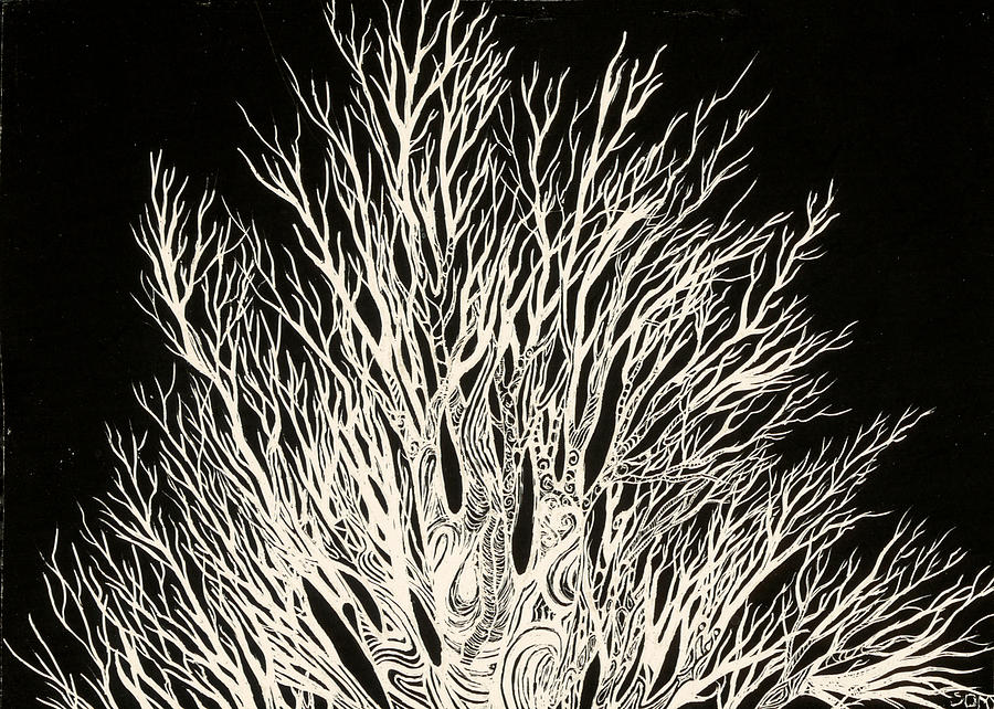 Tree Drawing - Night Shade 1 by Sharon Miller