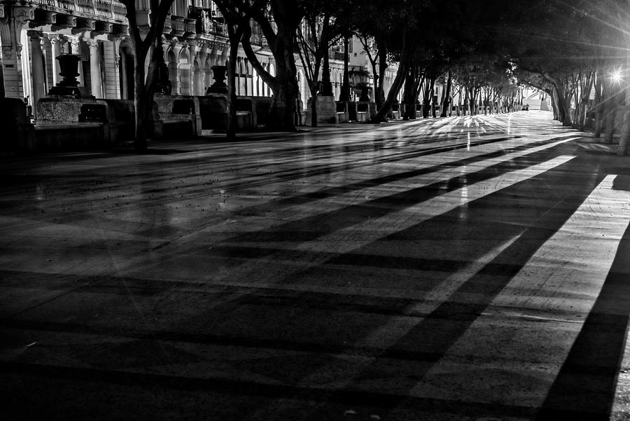 Night Shadows Photograph by Joan Carroll