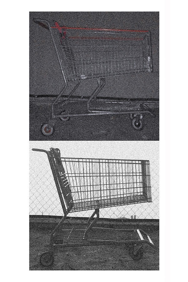 Night Shopping Cart and Day Shopping Cart Photograph by Stan  Magnan
