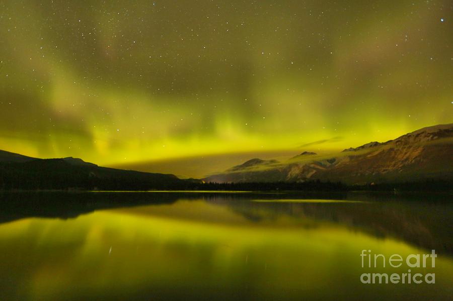 Night Skies And Northern Lights Photograph by Adam Jewell