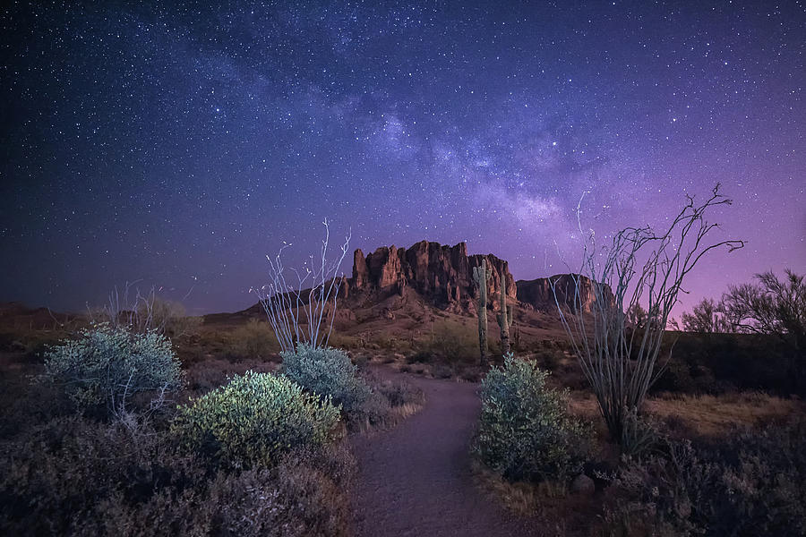 Night Skies Photograph by Gerry Groeber