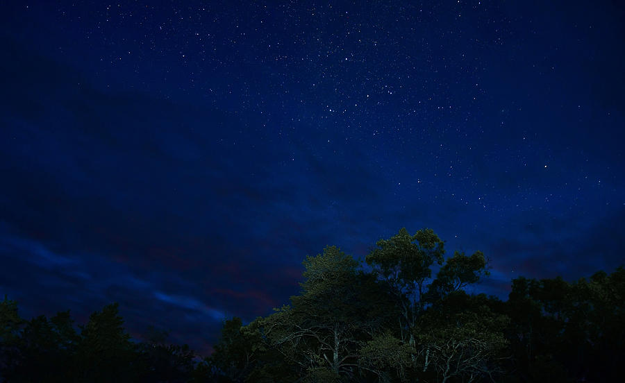 Night Sky 5175 Photograph by Michael Peychich
