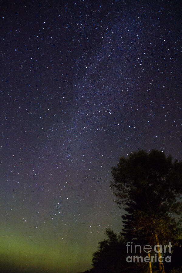 Night Sky Photograph by CJ Benson