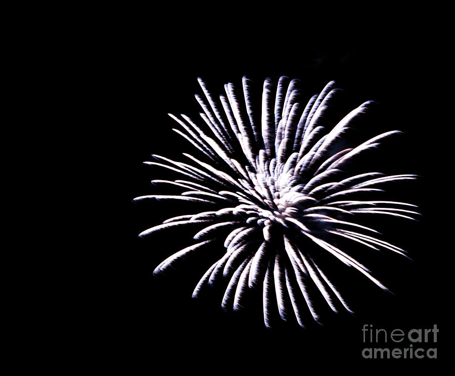 Night Sky Fireworks Photograph by Suzanne Luft