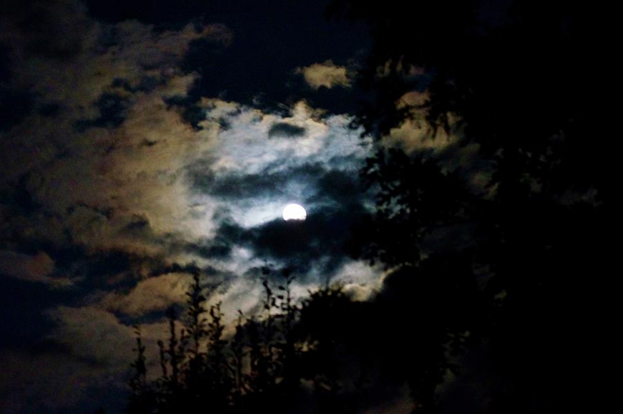 Night Sky Photograph by Linda Cupps - Pixels