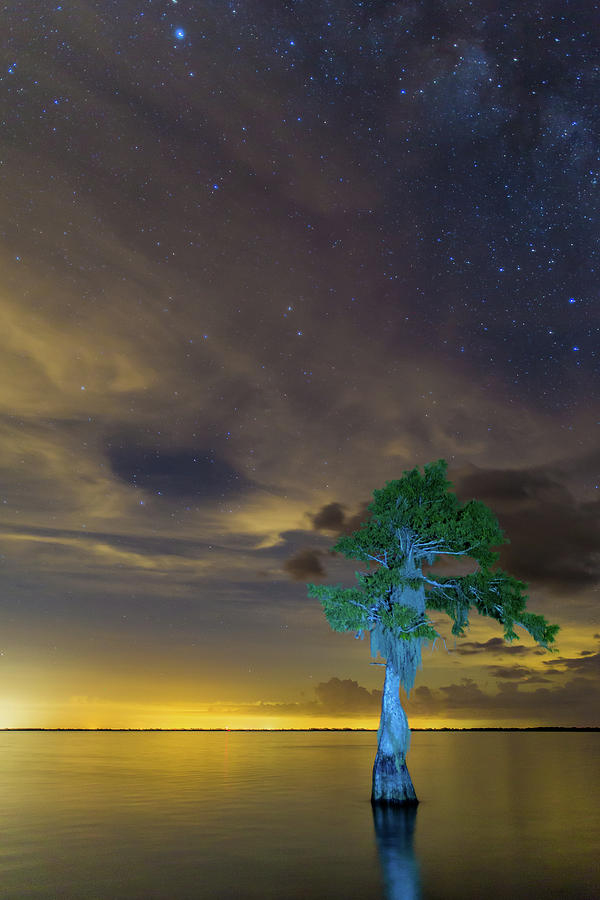 Night sky over Blue Cypress Lake Photograph by Stefan Mazzola