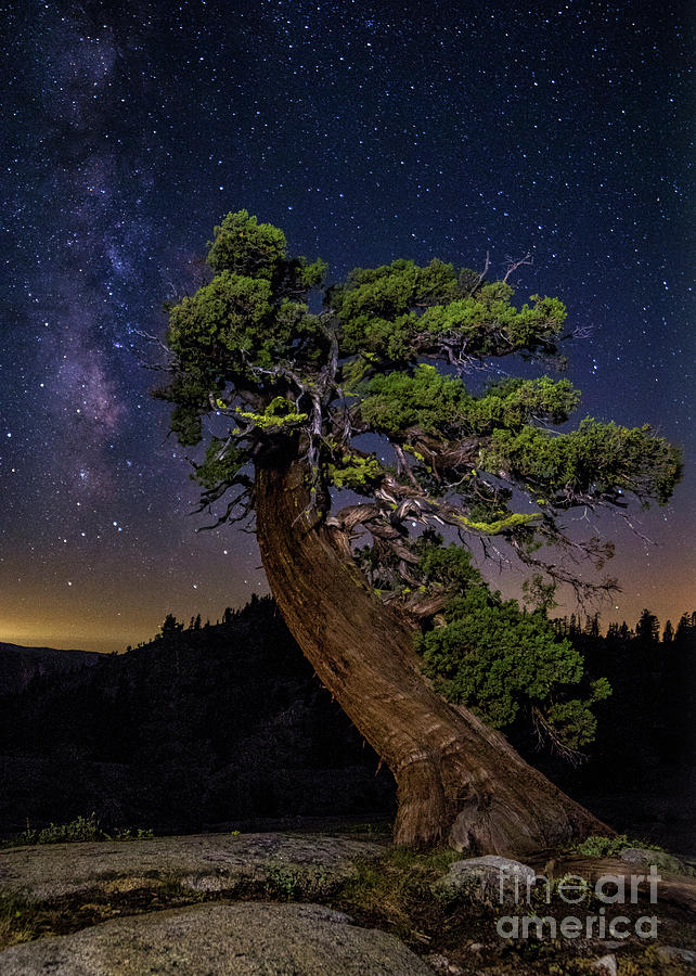 Night Sky by Vincent Bonafede Night Sky by Vincent Bonafede