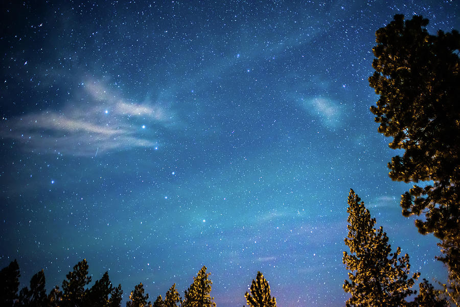 Night Sky With Ursa Minor And Polaris Photograph by Alex Grichenko