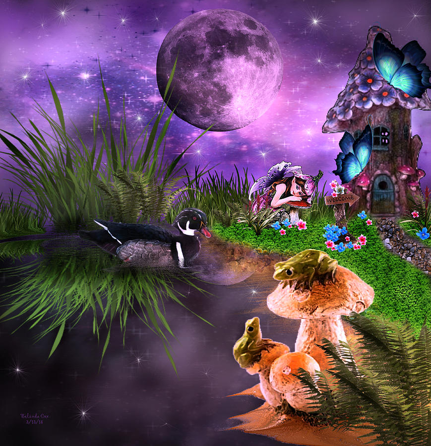 Night-time on Fairy Island Digital Art by Artful Oasis