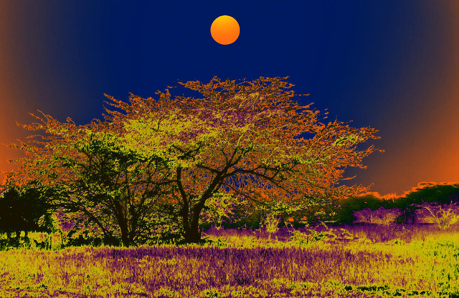 Tree Digital Art - Night Trees and the Full Moon by Bliss Of Art