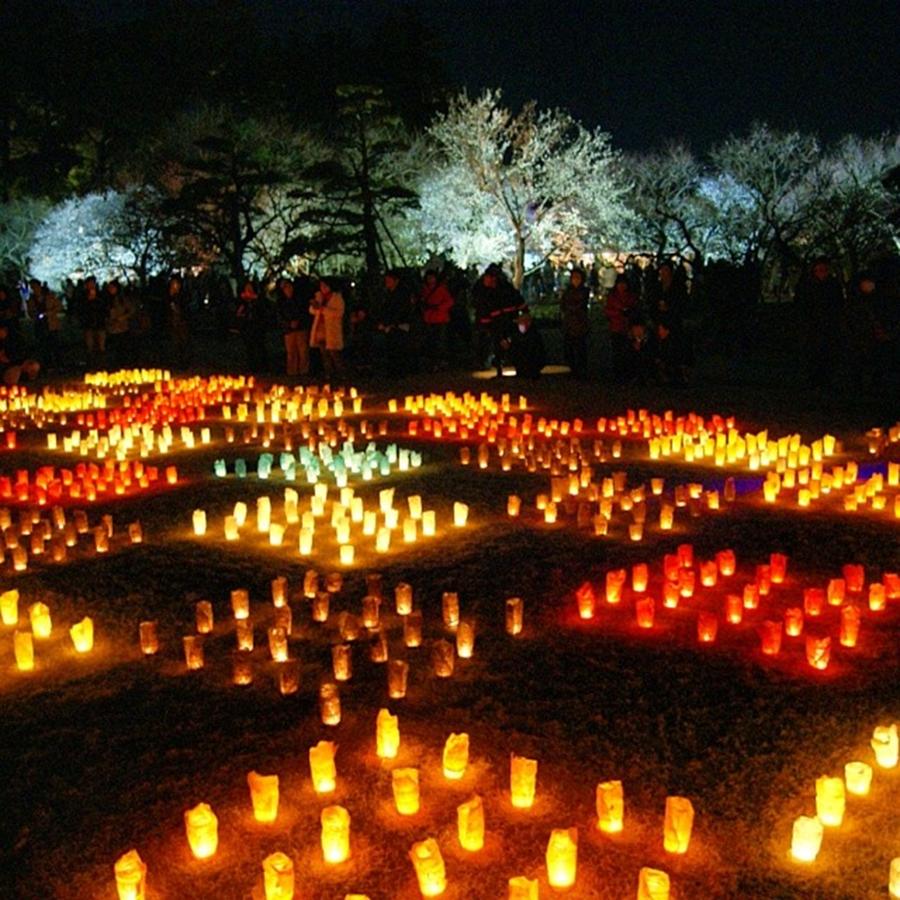 Candle Photograph - Night Ume Festival by Nori Strong