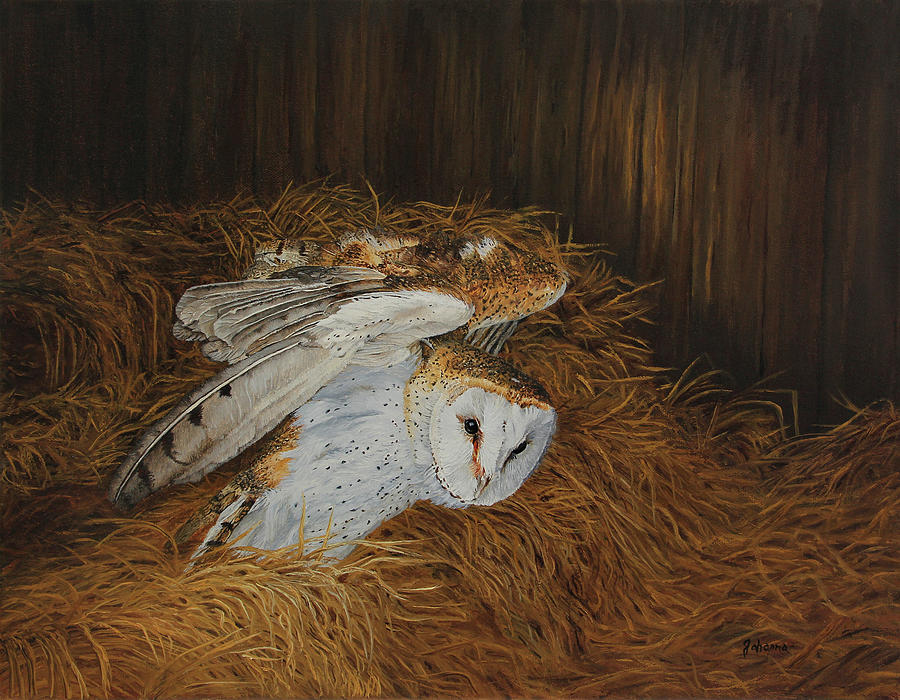 Night Visitor - Barn Owl Painting by Johanna Lerwick
