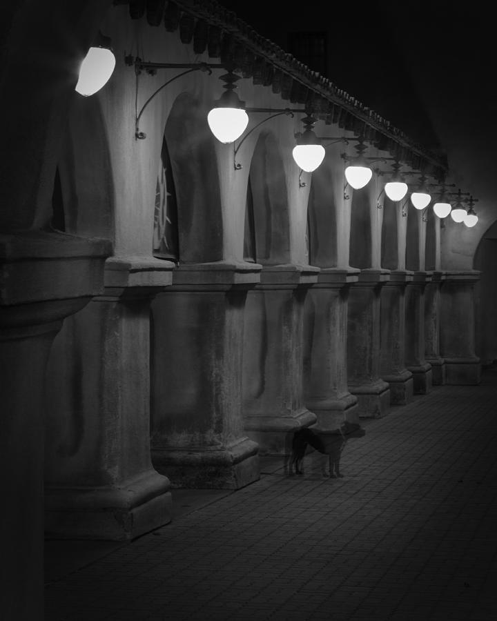 Night Watchman Photograph by Dusty Wynne