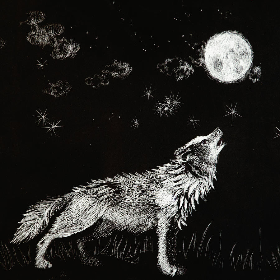 Night Wolf Drawing