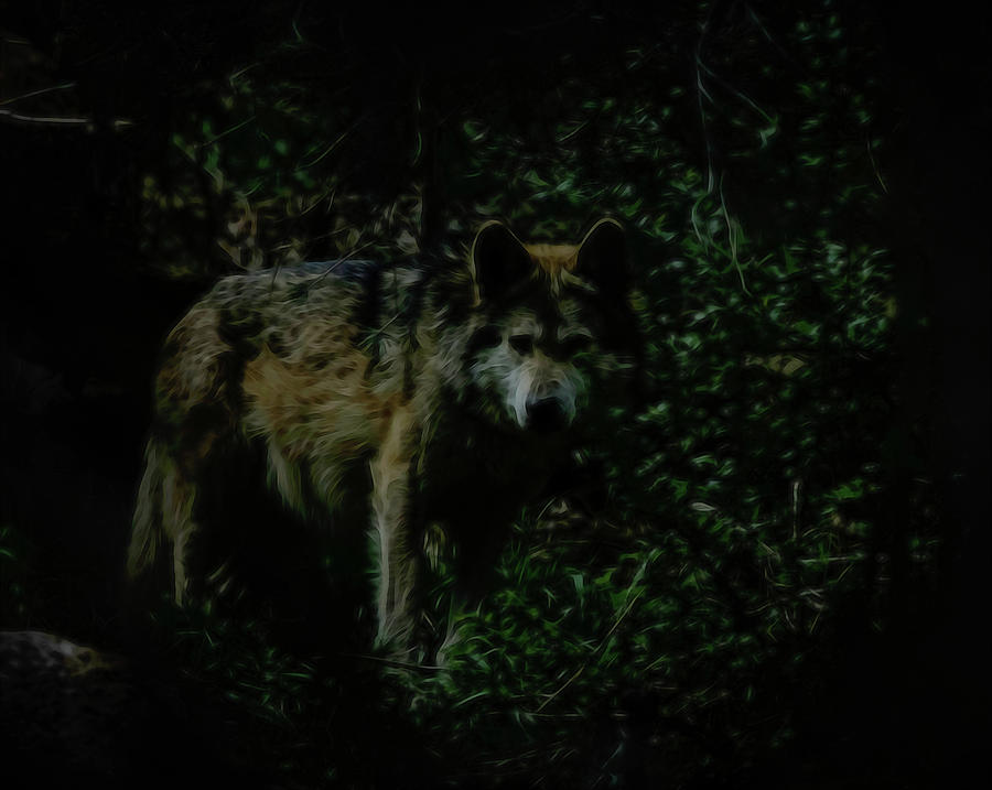Night Wolf Digital Art by Ernest Echols