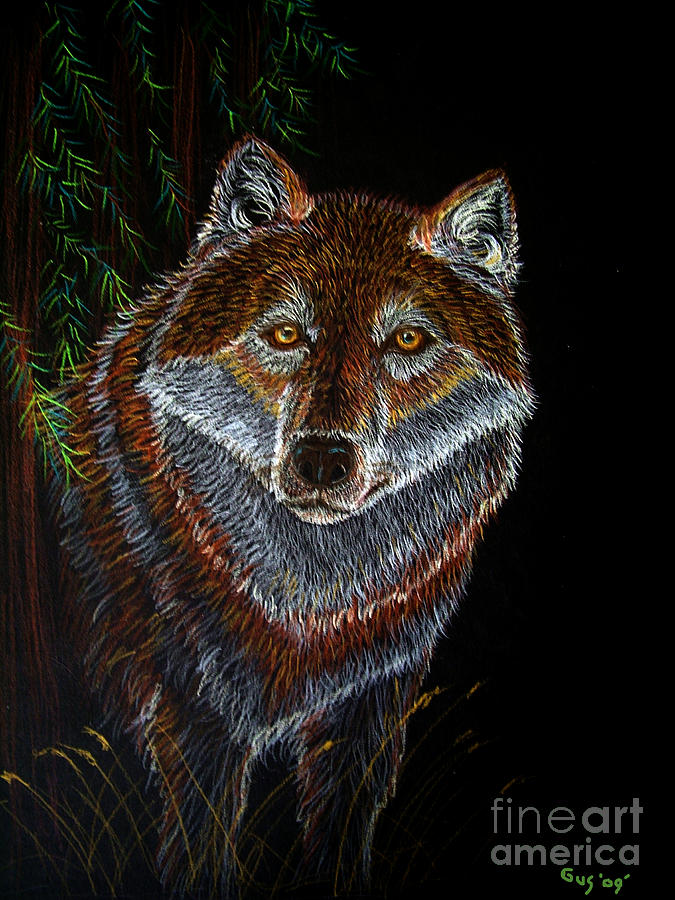 Wolves Drawing - Night Wolf by Nick Gustafson