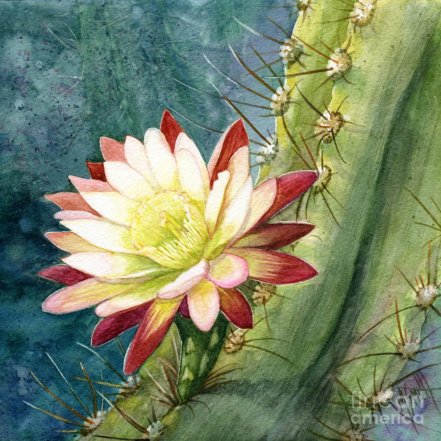Nightblooming Cereus Cactus Painting by Marilyn Smith