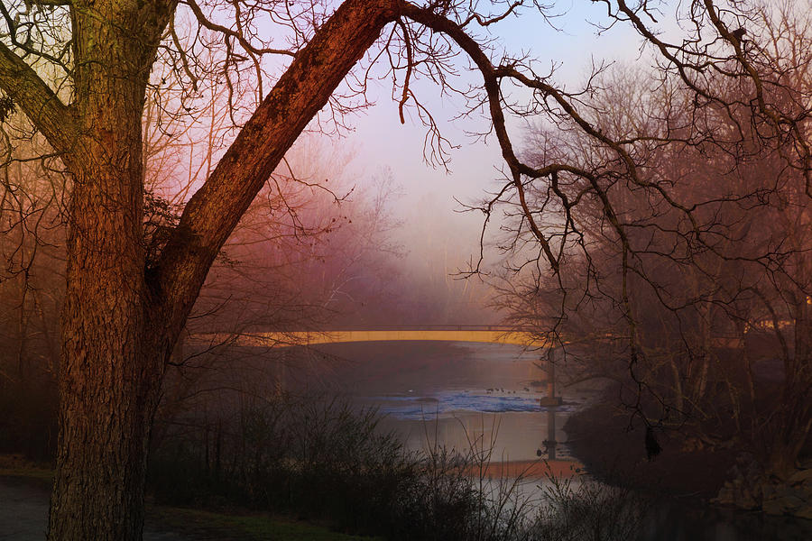 Nightfall at the River Photograph by Debra and Dave Vanderlaan