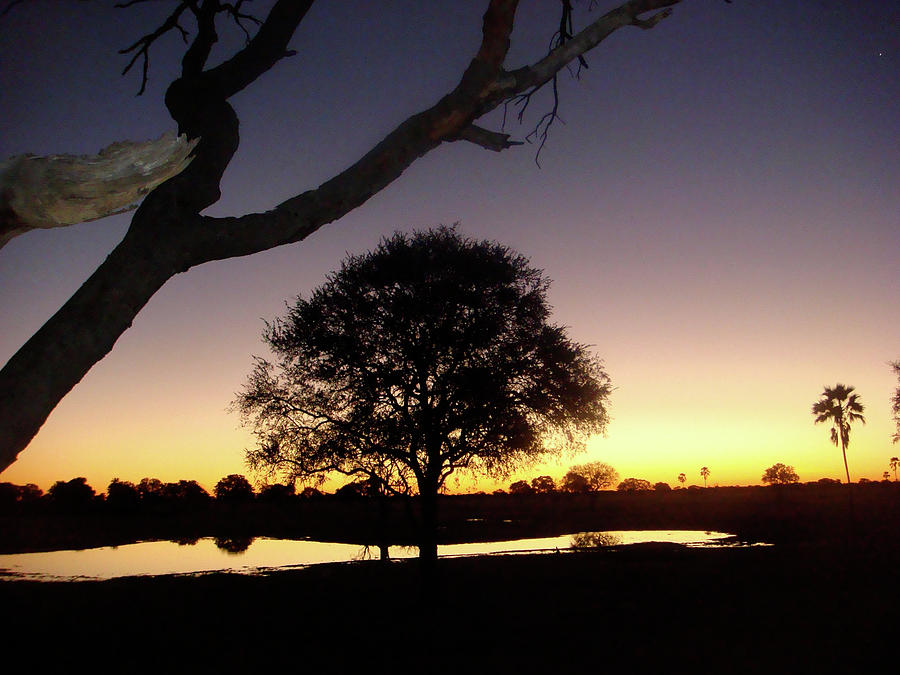 Sunset Photograph - Nightfall in Africa by Karen Zuk Rosenblatt