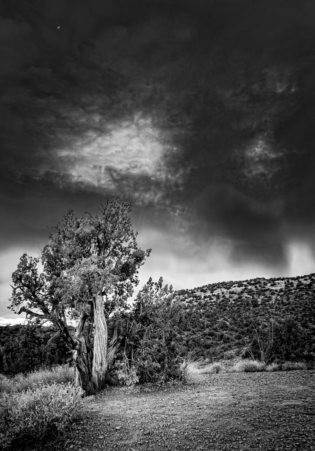 Nightfall in Arizona Photograph by Alexey Stiop