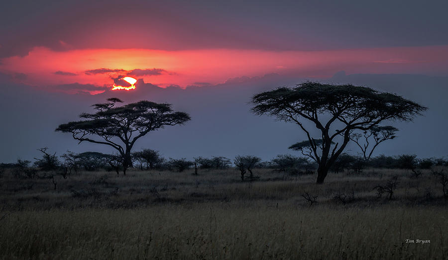 Sunset Photograph - Nightfall on Namiri Plains by Tim Bryan