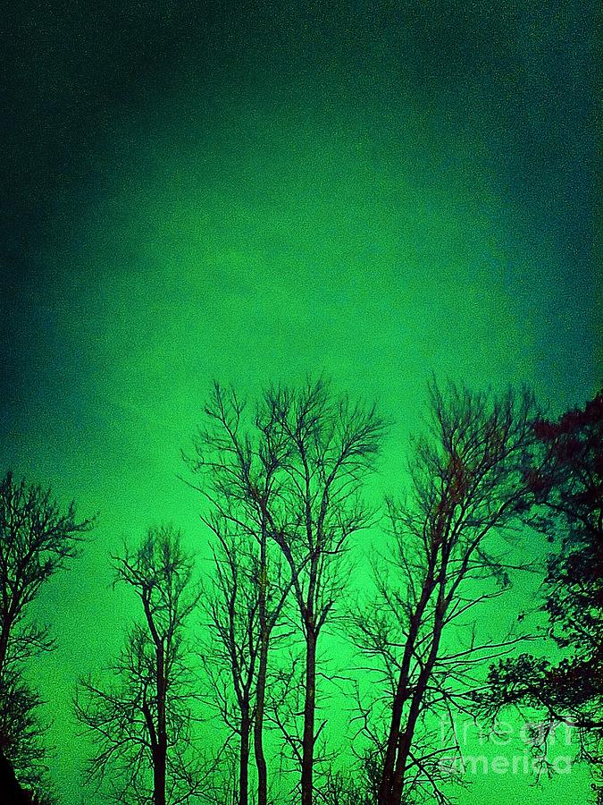 Nightglow - Green Digital Art