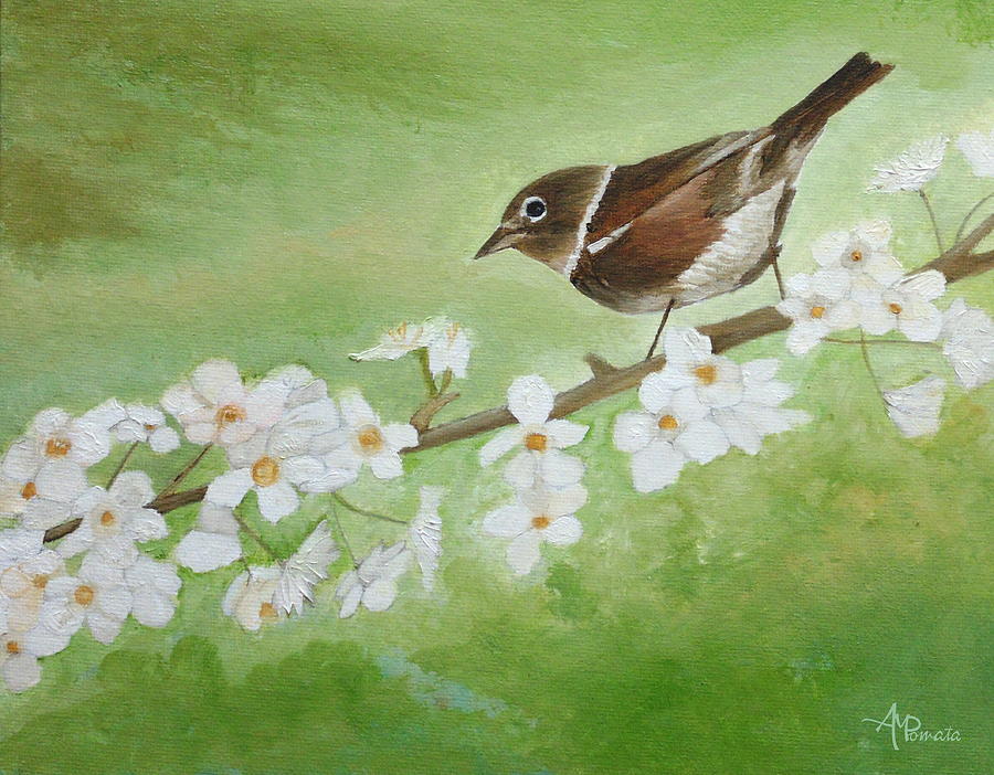 Nightingale Among Almond Flowers Painting by Angeles M Pomata