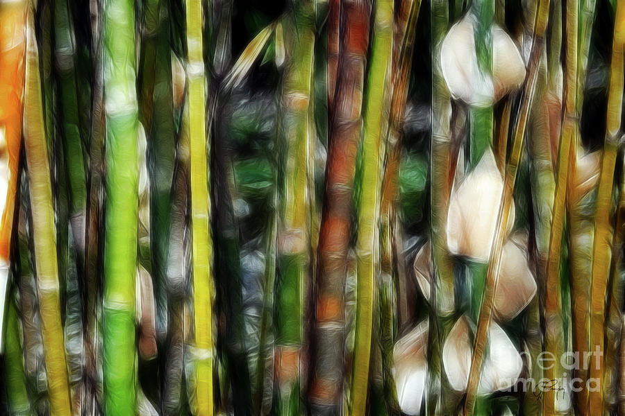 Nightly Bamboo Jungle Photograph by Gabriele Pomykaj
