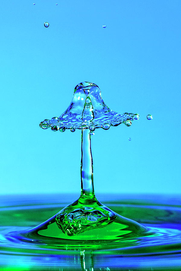 Nightshade Water Droplet Photograph