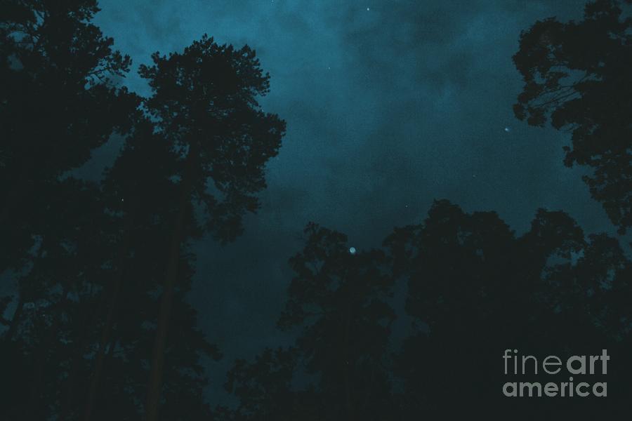 Tree Photograph - Nighttime Sky by Ben Blount