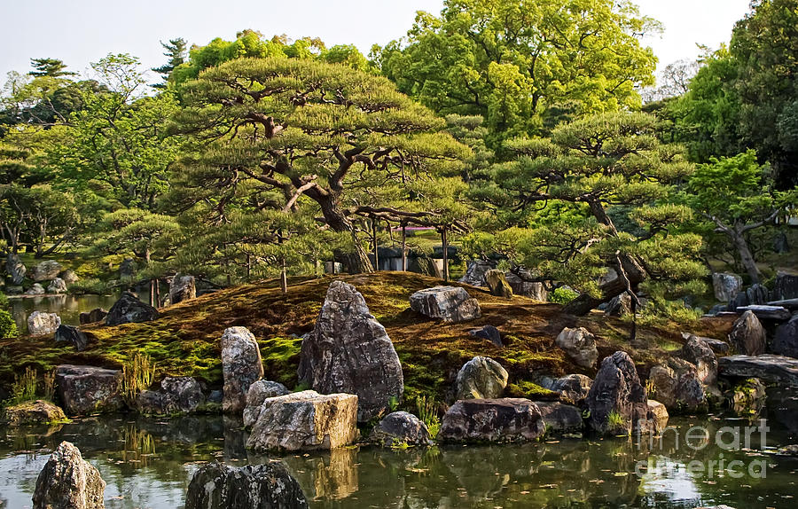 Nijo Castle Gardens Kyoto Japan Photograph by Waterdancer 