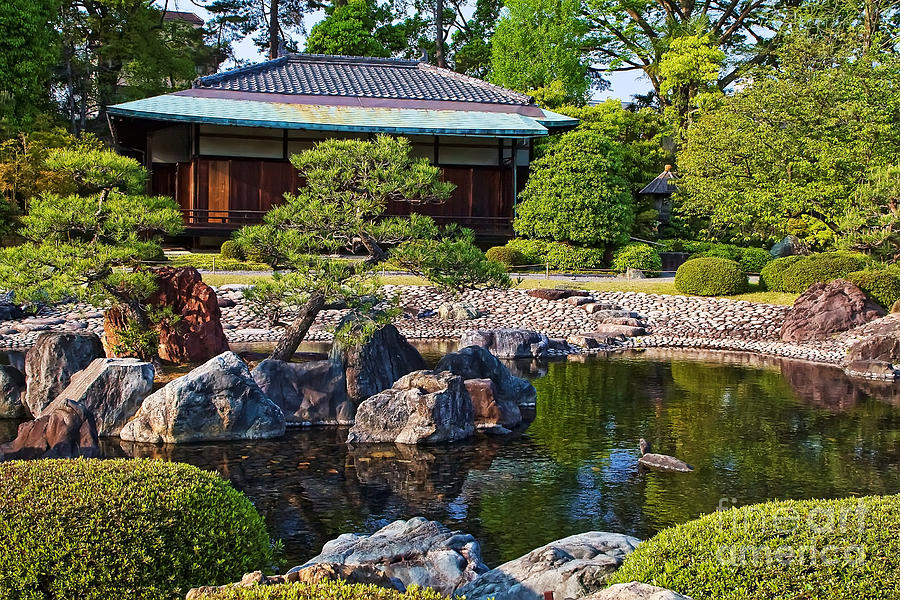 Nijo Castle Gardens Photograph by Waterdancer 