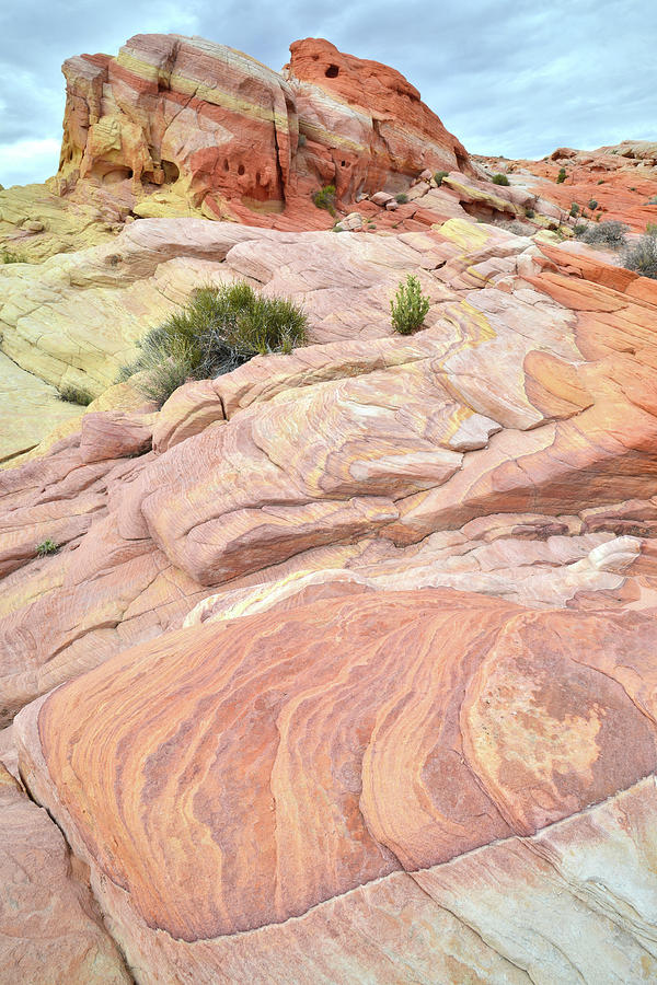 Nike Rock Color in Valley of Fire Photograph by Ray Mathis