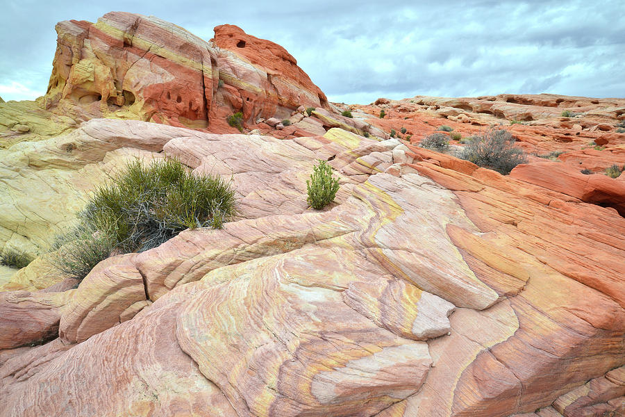 Nike Rock Wave in Valley of Fire Photograph by Ray Mathis