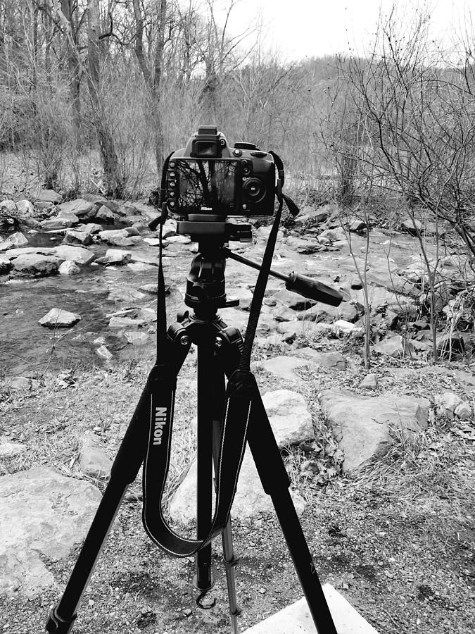 Nikon by the Creek Photograph by Michael Hills